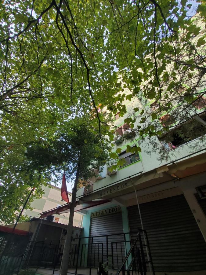 Nora's Apartament
